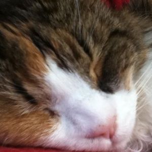 Meet your Posher, Vicky